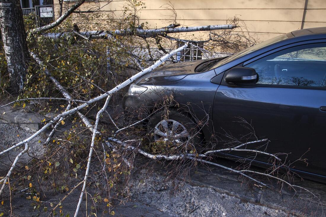 tree fallen on car after storm 